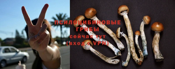 мяу мяу мука Белокуриха