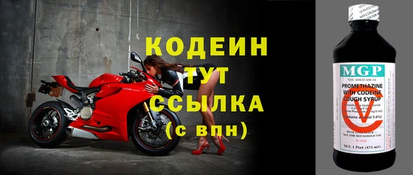 дмт Богданович