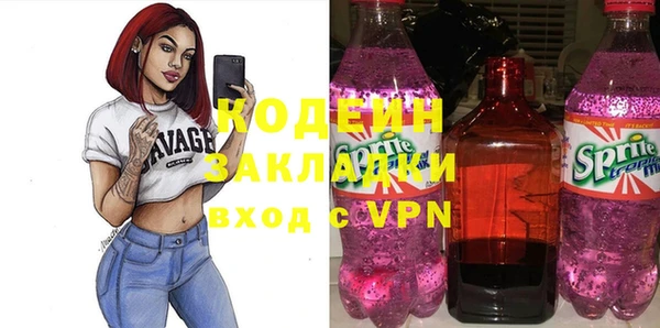 индика Няндома