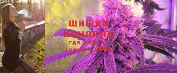 мяу мяу мука Белокуриха