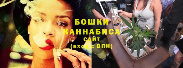 ГАЛЛЮЦИНОГЕННЫЕ ГРИБЫ Белоозёрский