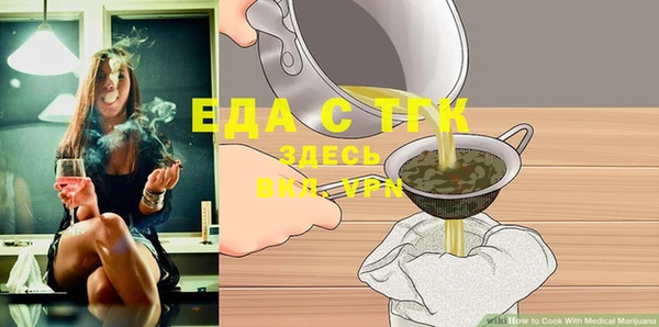 индика Няндома