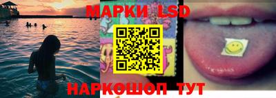 сатива Аргун