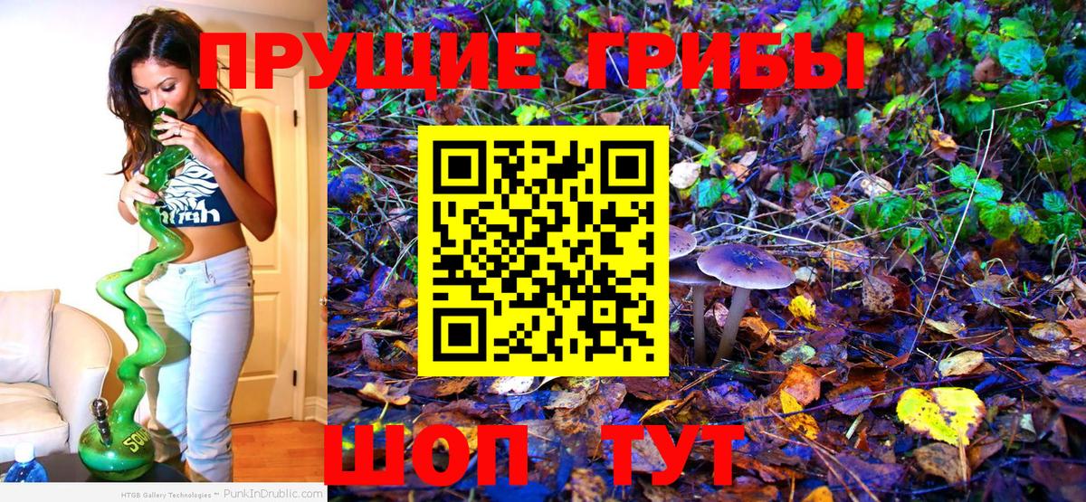 Псилоцибиновые грибы Psilocybine cubensis Апрелевка