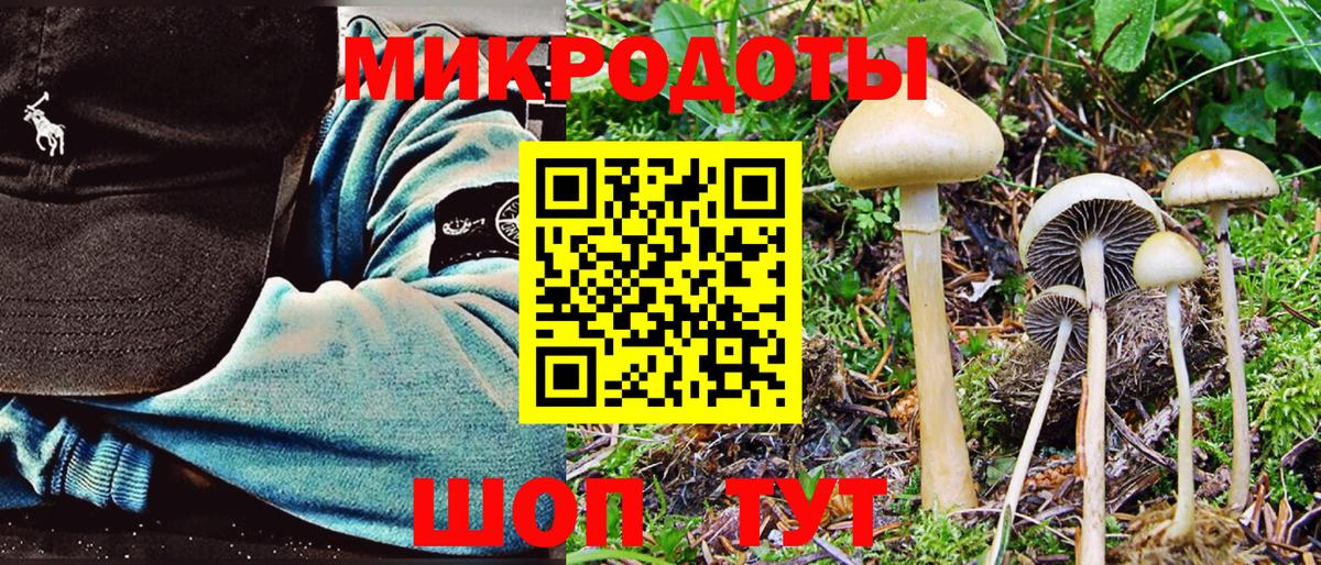 Апрелевка  Псилоцибиновые грибы Magic Shrooms  Вход с VPN 
