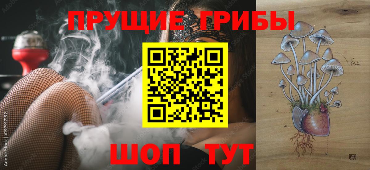 Псилоцибиновые грибы MAGIC MUSHROOMS  Вход с VPN  Апрелевка 