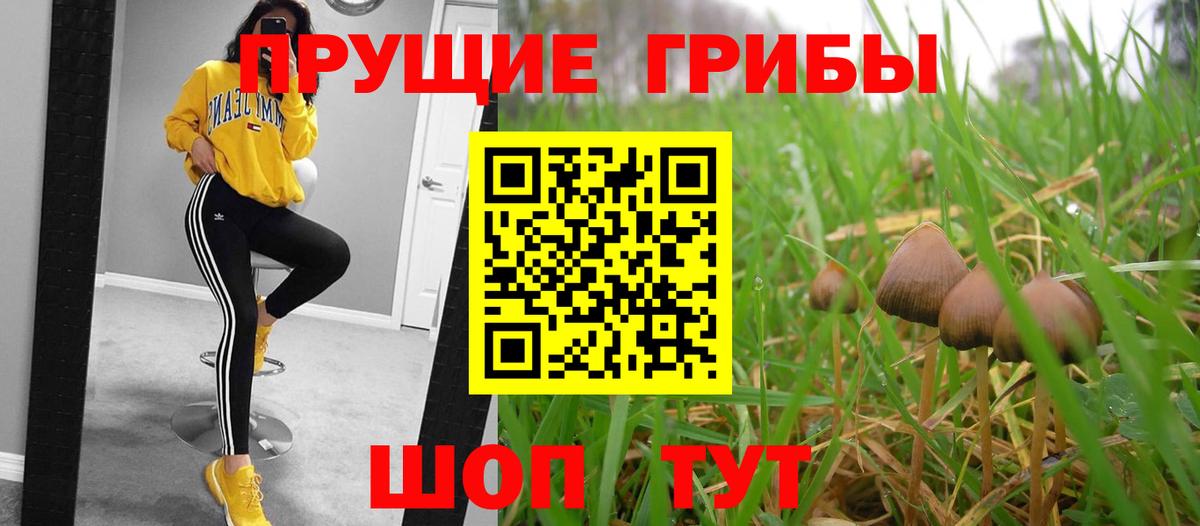 Псилоцибиновые грибы Magic Shrooms  Псилоцибиновые грибы MAGIC MUSHROOMS  Апрелевка 